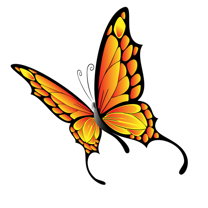 Free Butterfly Vector Art