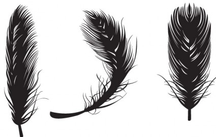 Free Feather Vectors