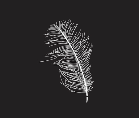 Free Feather Vectors