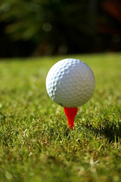 Free Golf Ball On Tee in Grass