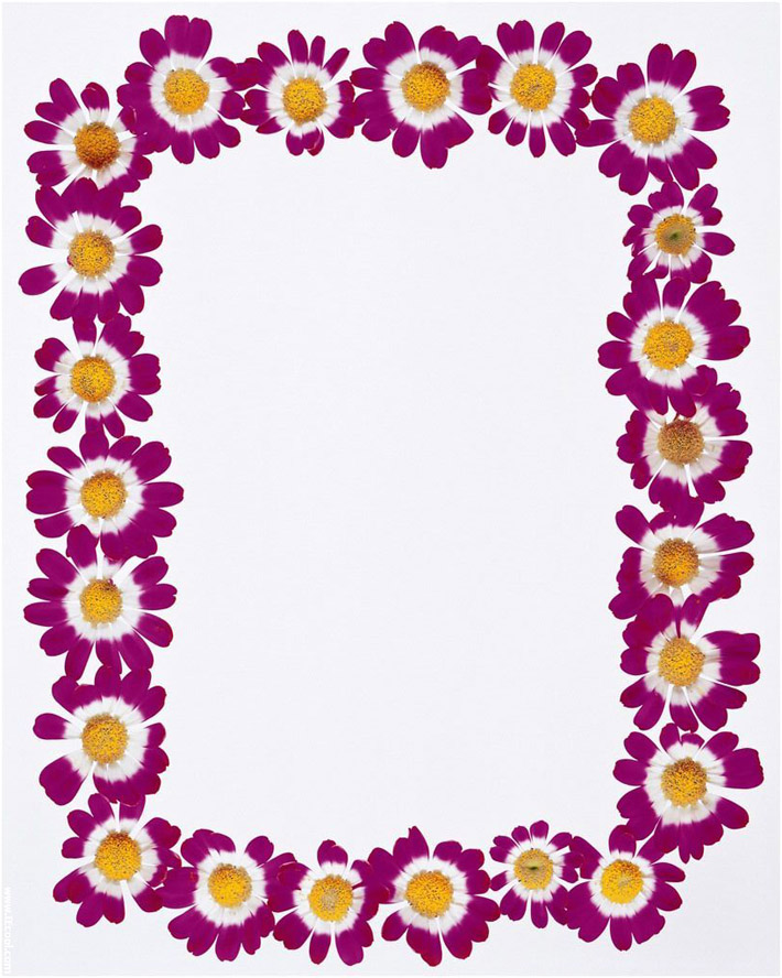 Free Printable Spring Paper Borders Free Printable Spring Paper Borders