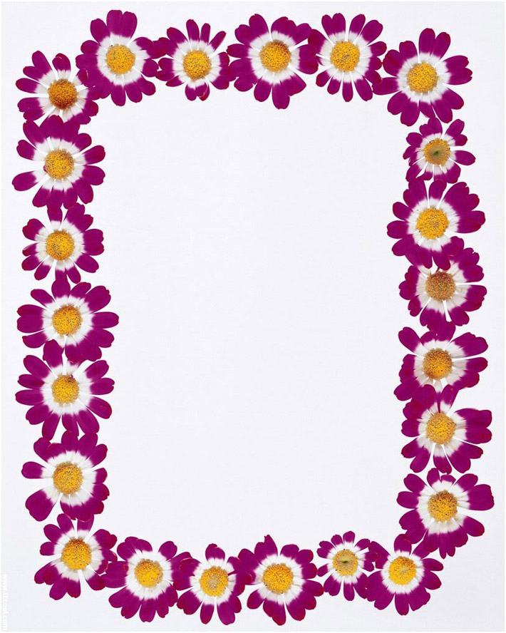 Free Printable Spring Paper Borders