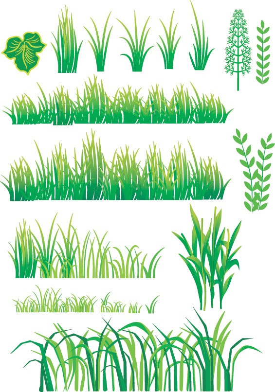 Grass and Bamboo Vector