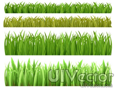 Grass Vector Grass Vector