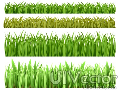 Grass Vector