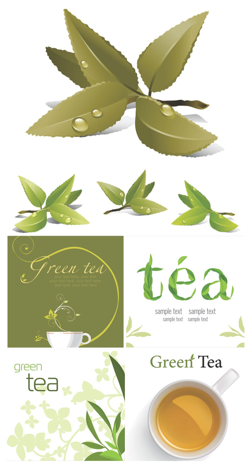 clip art tea leaf - photo #44