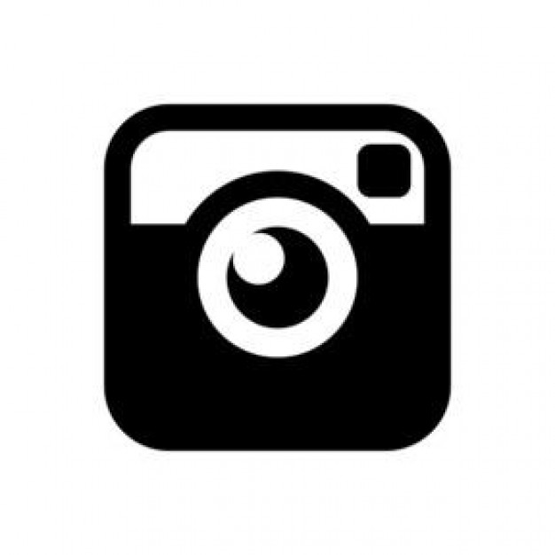 Instagram Camera Icon Vector