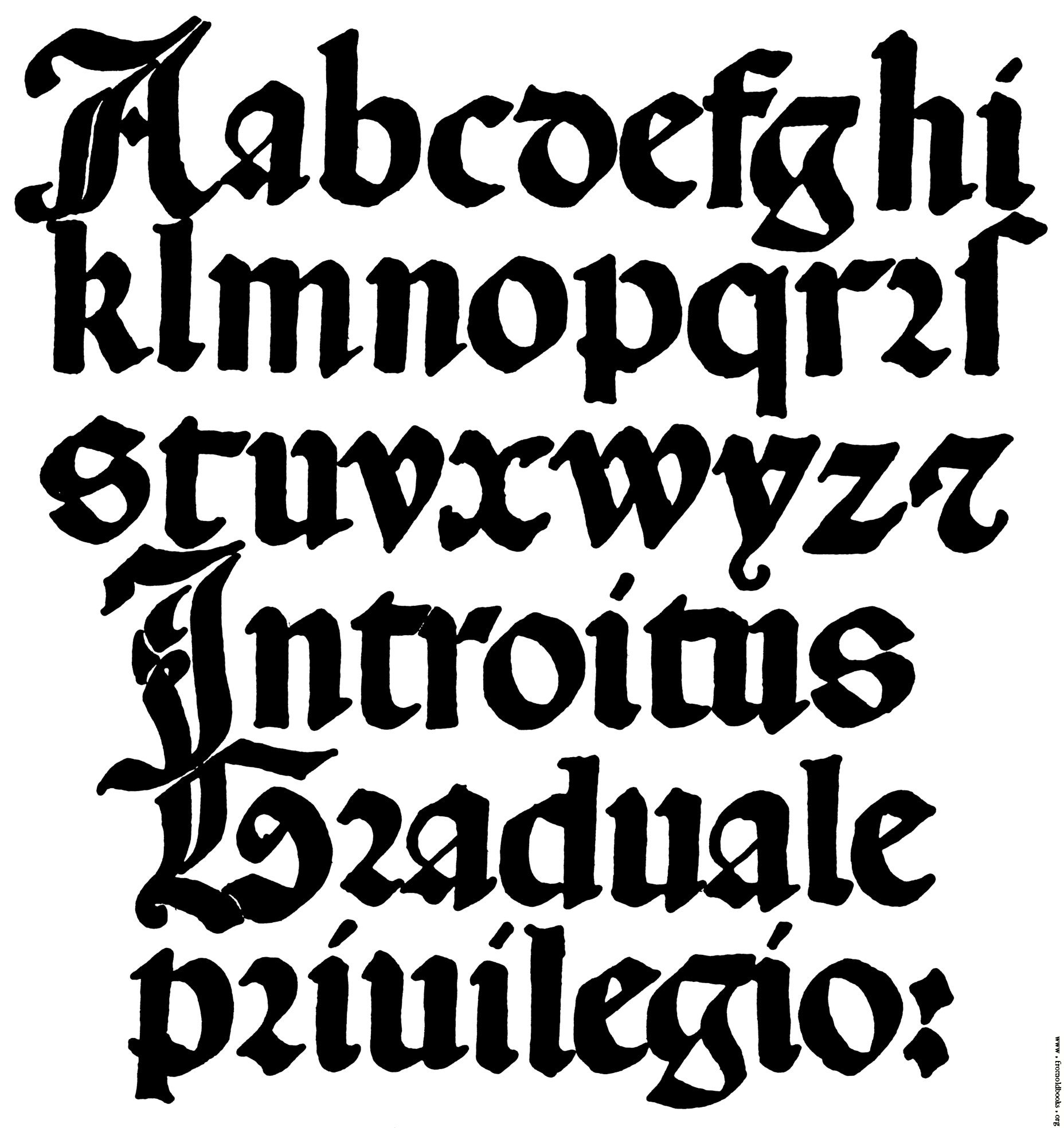 Italian Calligraphy Alphabet