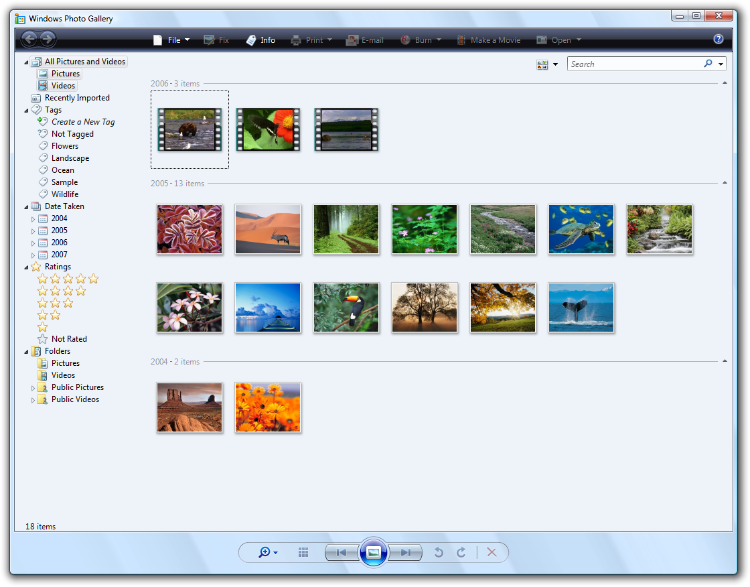 Microsoft Windows Picture Gallery
