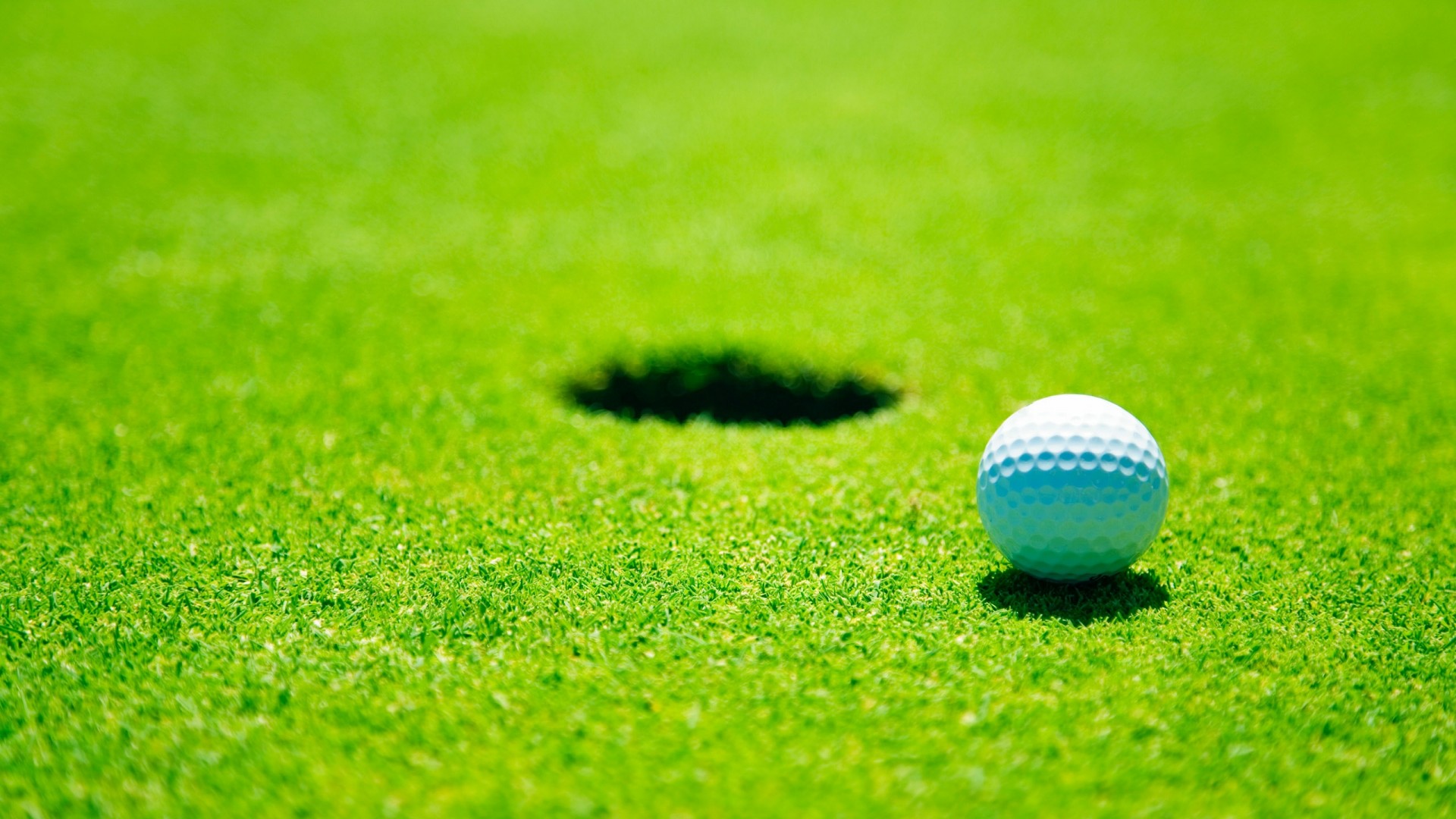 Miniature Golf Ball Background