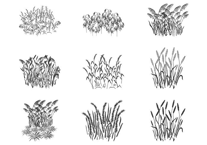 Plant Silhouette Vector Free Plant Silhouette Vector Free
