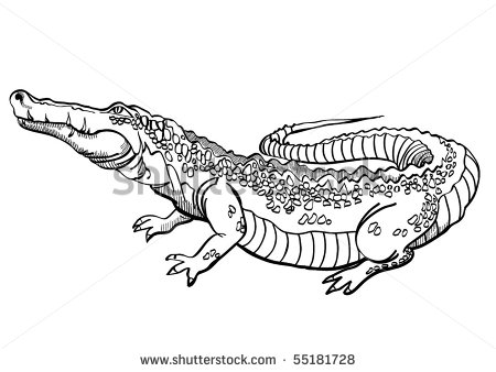 Realistic Cartoon Crocodile