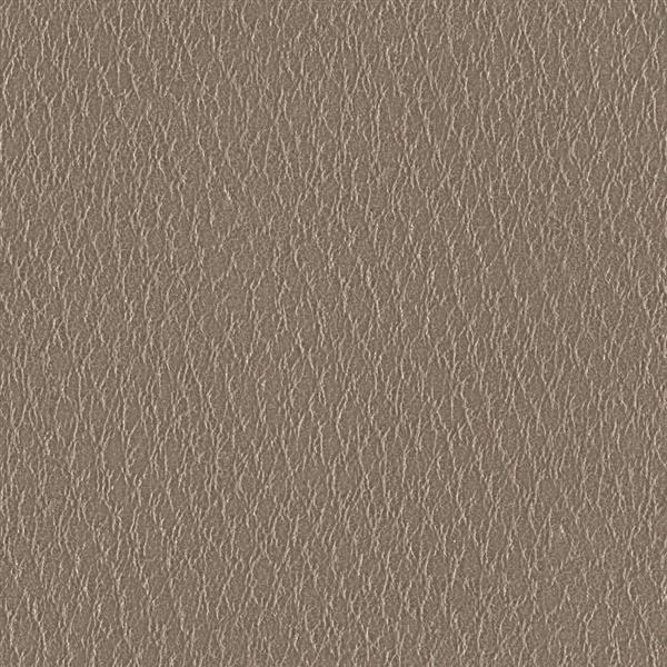 Seamless Leather Texture