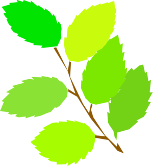 Spring Green Leaves Clip Art