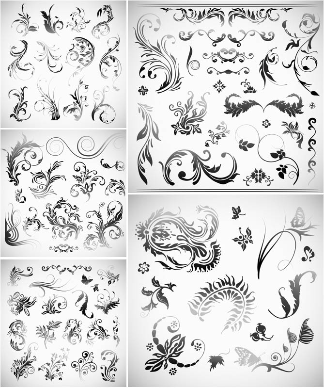 Swirl Floral Ornaments Vector