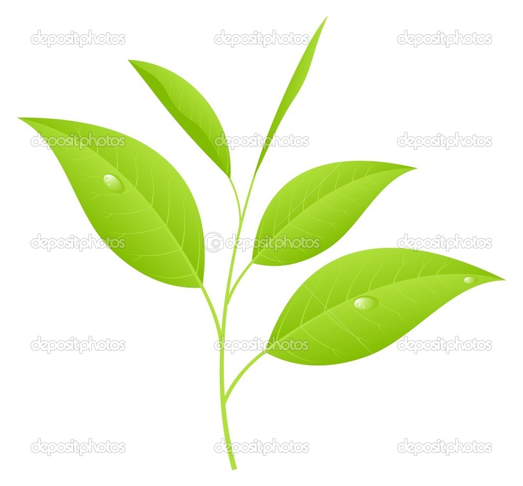 clip art tea leaf - photo #18