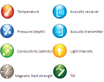 Temperature Sensor Icon