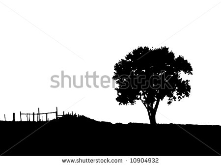 Tree Silhouette Landscape