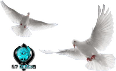 Two Doves Flying