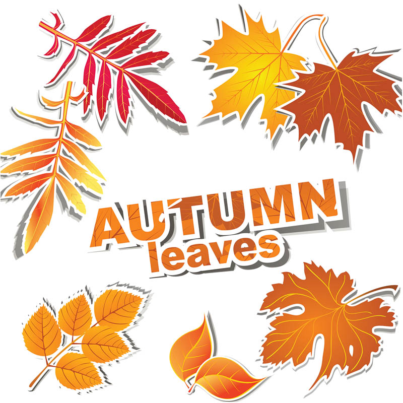 Vector Fall Leaves Clip Art