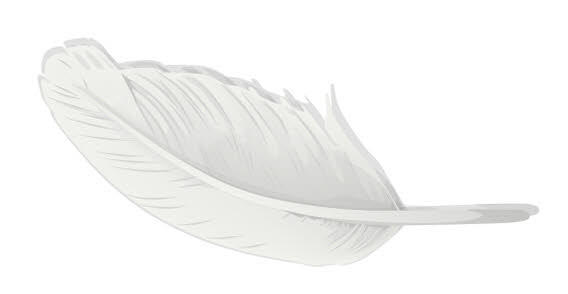 Vector Feather Free Clip Art