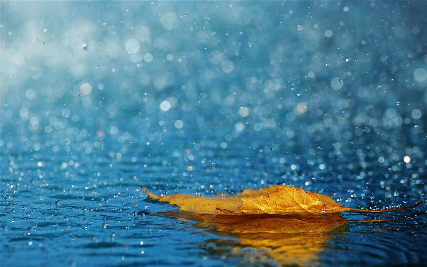 Wallpaper Desktop Nature Rain