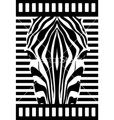 Zebra Face