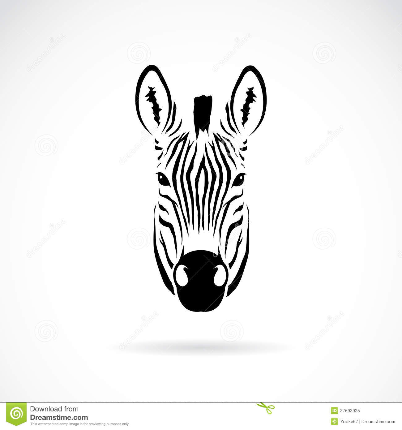 Zebra Head Drawing