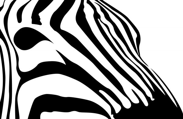 Zebra Profile Vector