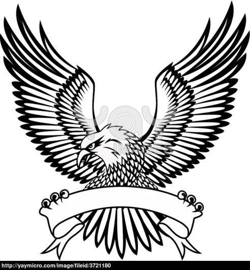 American Eagle Logo Vector Art