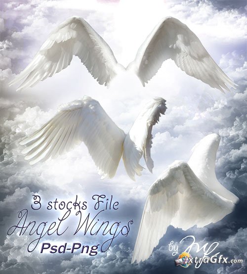 12 Angel Wings PSD Images