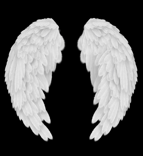 Angel Wings