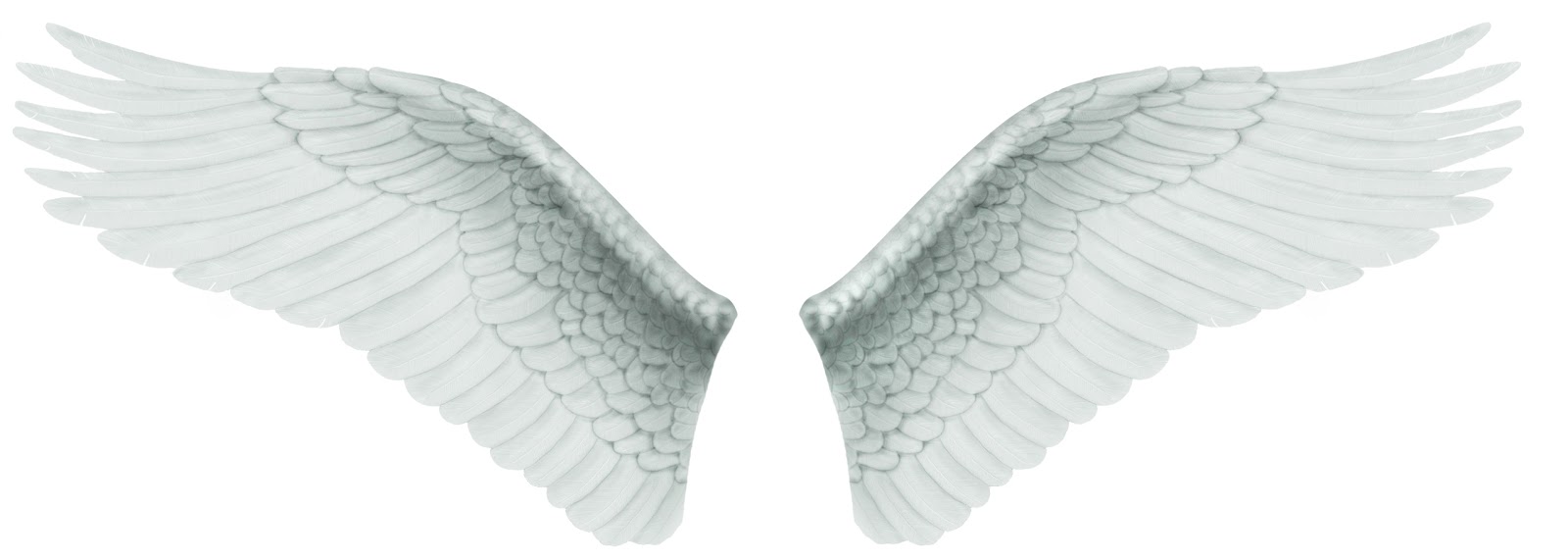 Angel Wings