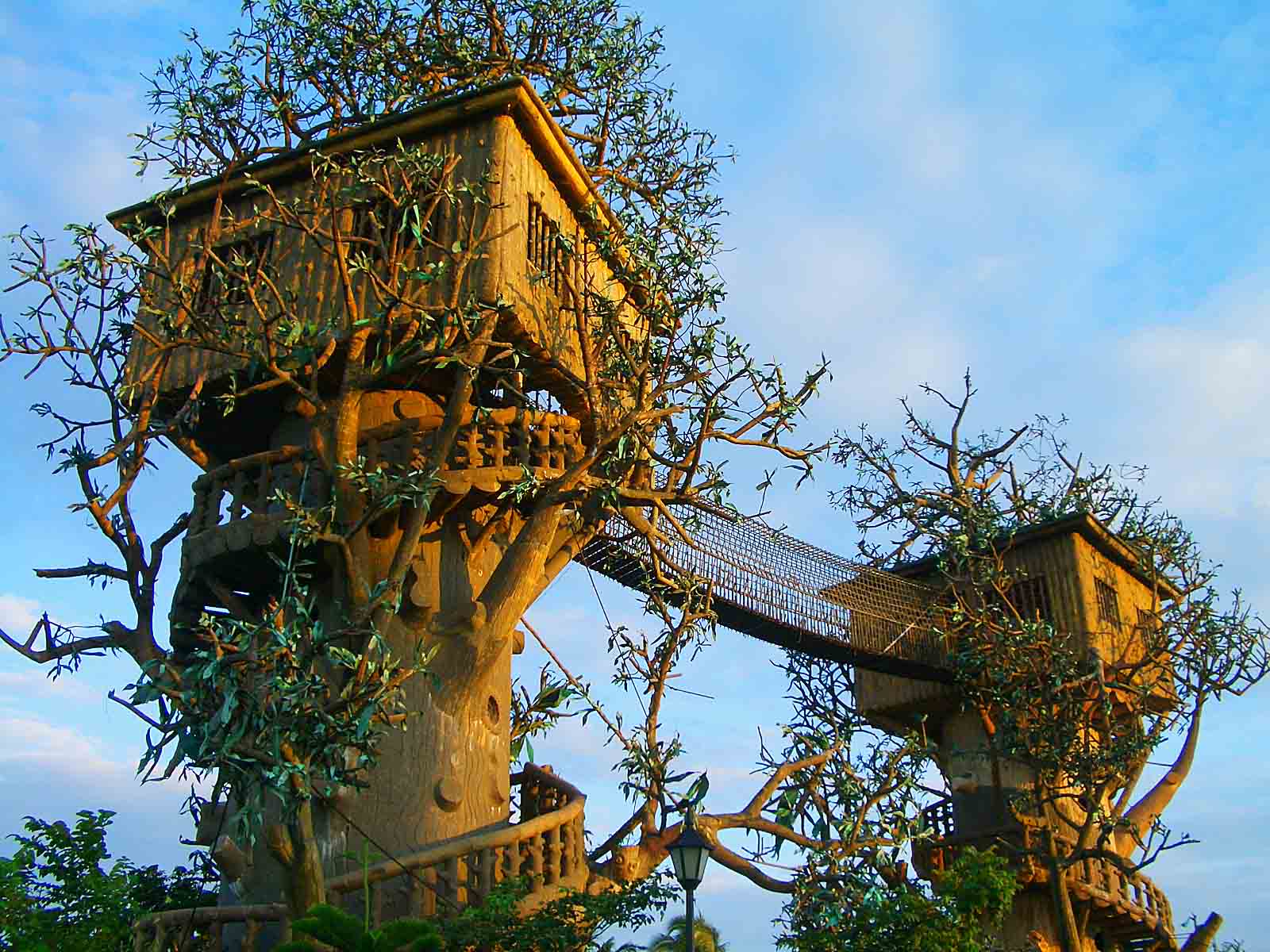 Beautiful Tree House