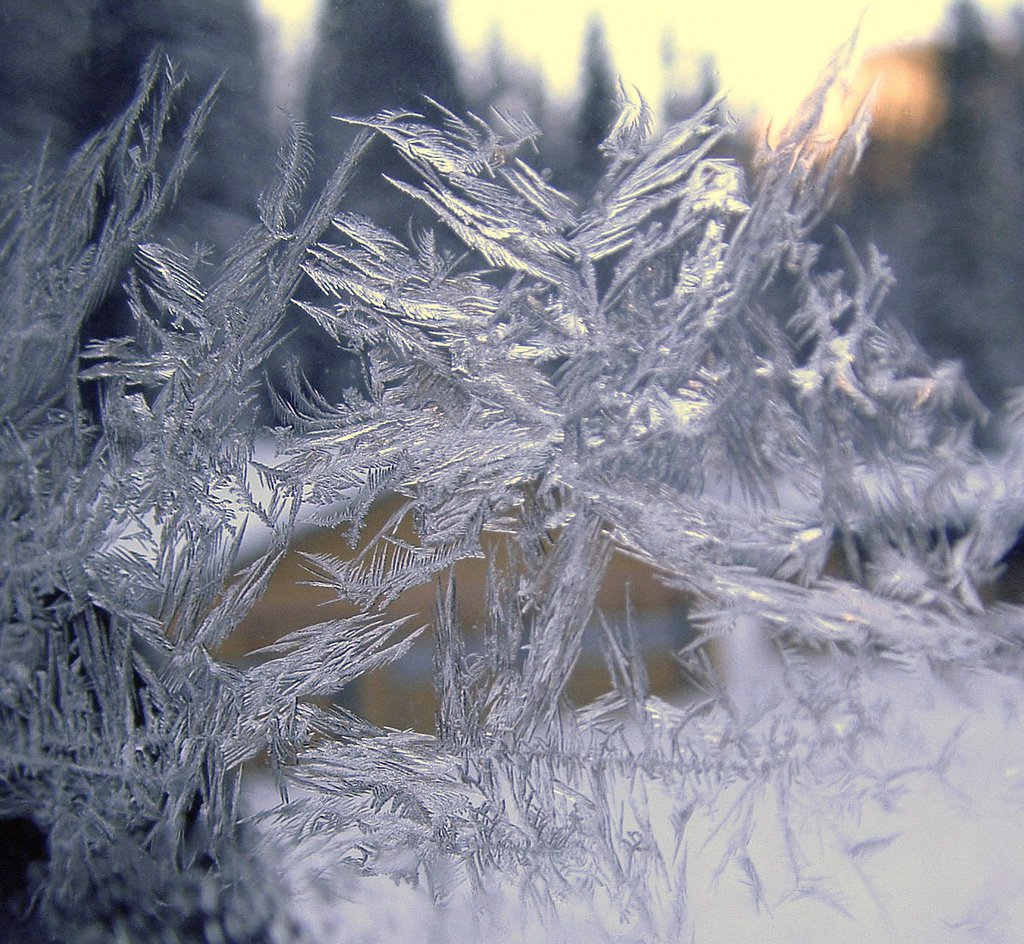 Biggest Snowflake Ever Recorded