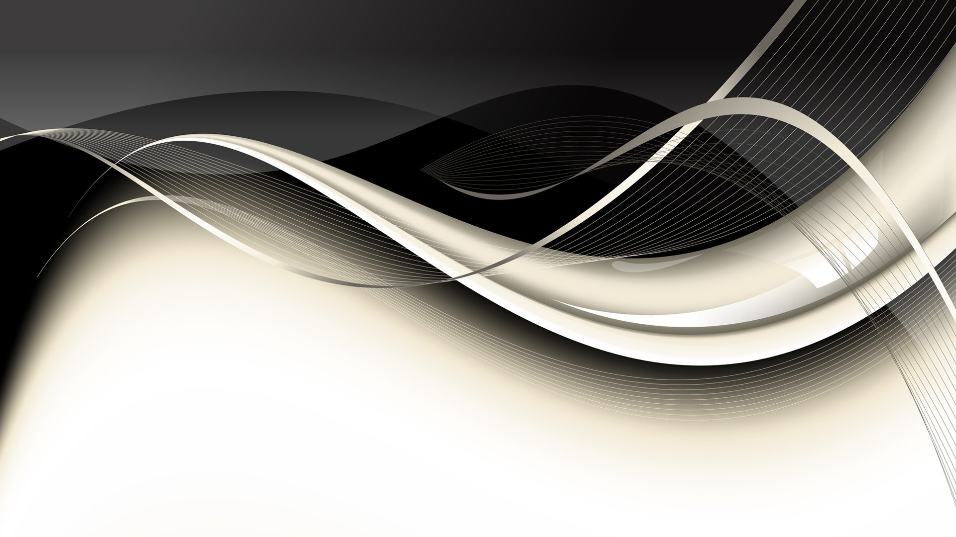 Black and White Gradient Line Black and White Gradient Line