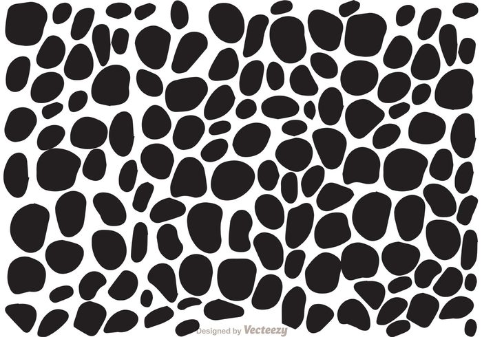 Black and White Leopard Print Vector
