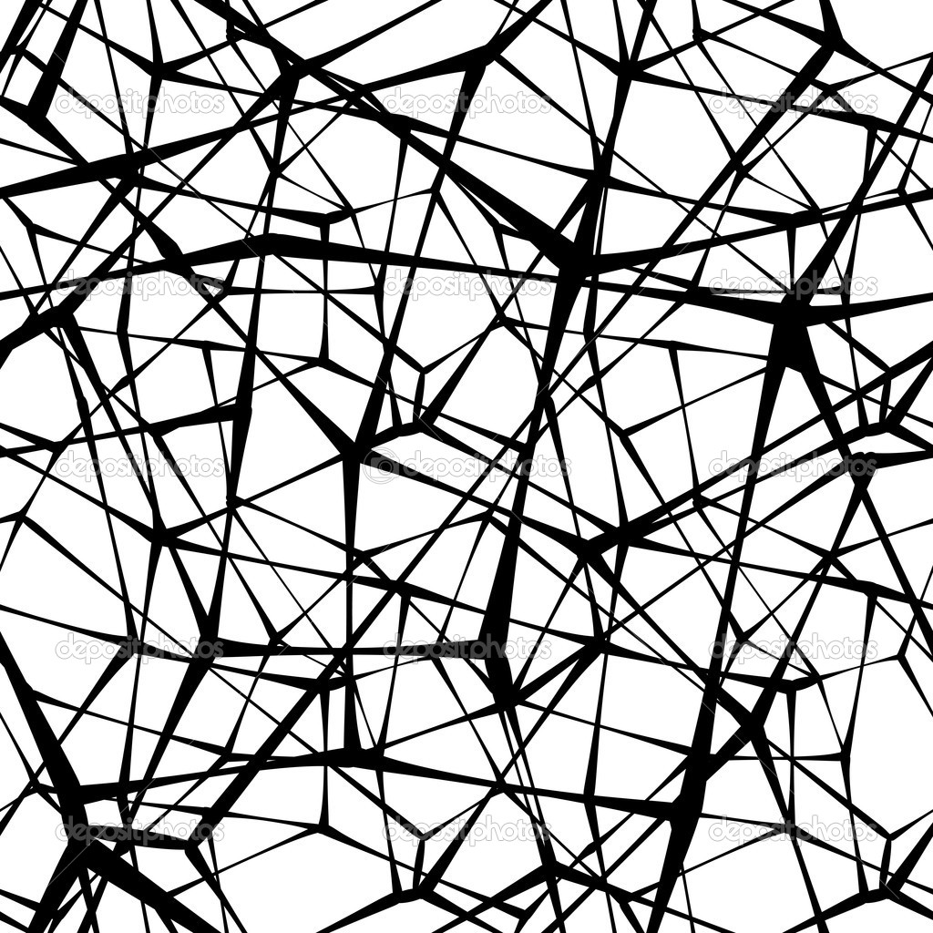 Black and White Spider Web Pattern Black and White Spider Web Pattern