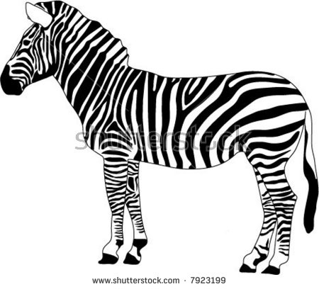 Black and White Zebra Clip Art