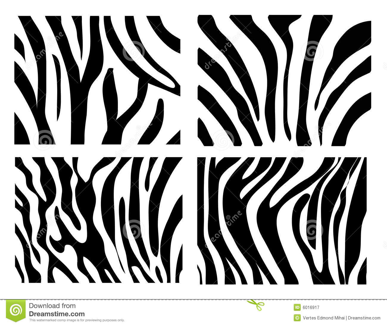 Black and White Zebra Texture