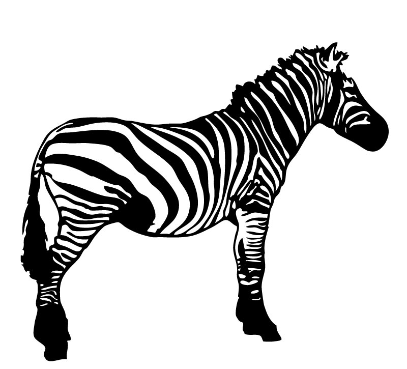 Free Clip Art Black and White Zebra