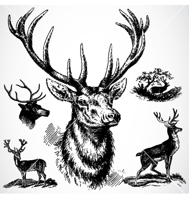 Free Deer Vector Art