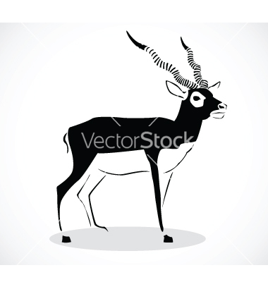 Free Deer Vector Art
