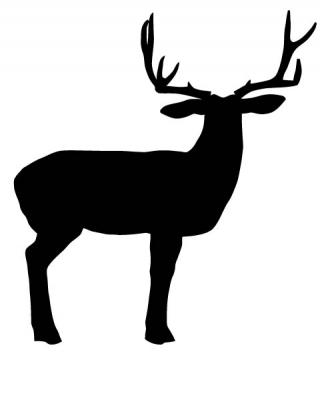 Free Deer Vector Art