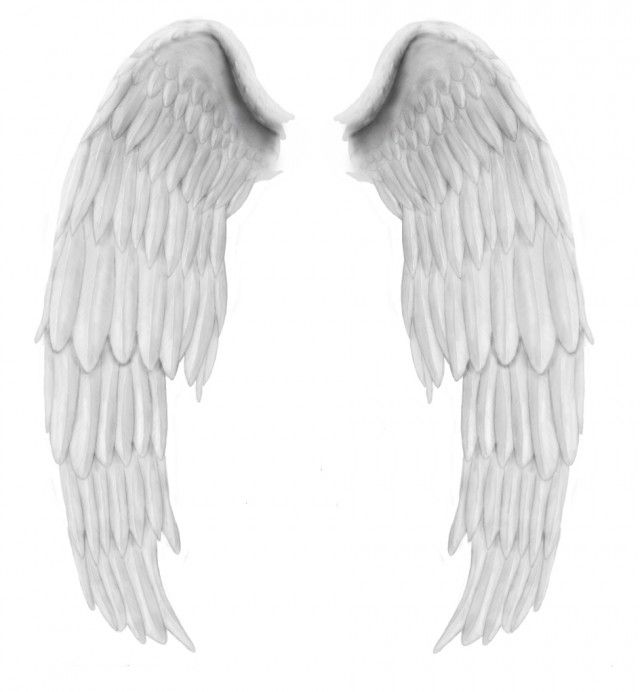 Free Psd Angel Wings