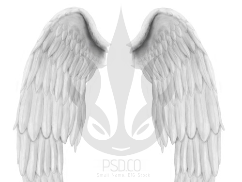 Free Psd Angel Wings