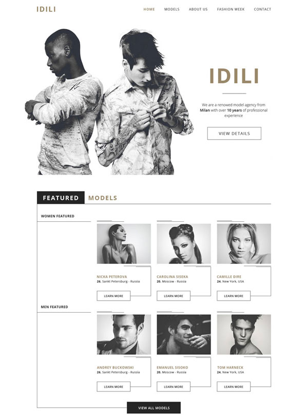 Free PSD Website Template