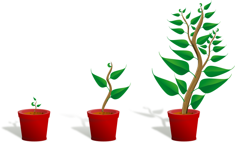 Growing Plant Clip Art