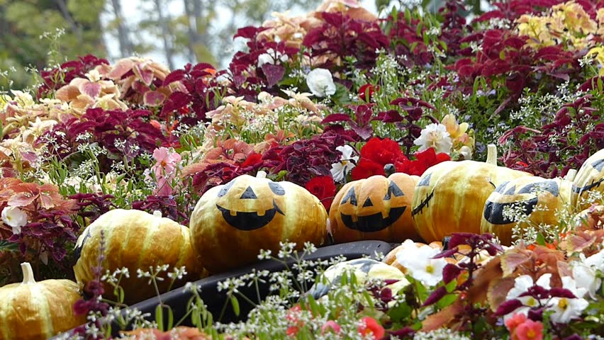 Halloween Flower Garden Halloween Flower Garden