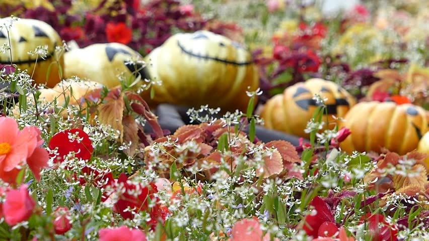 Halloween Flower Garden